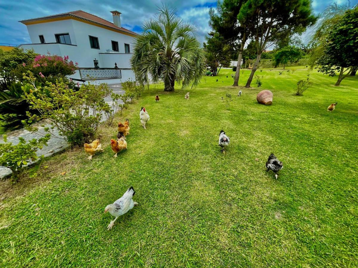 Gasthaus Solar Pontes Capelas Exterior foto